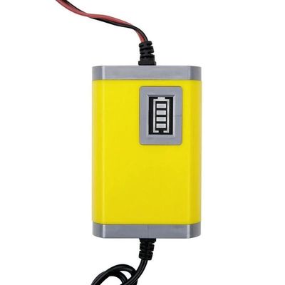 Lader van de het Lood Zure Batterij van 6v 12v EFB de Intelligente met LEIDENE indicator